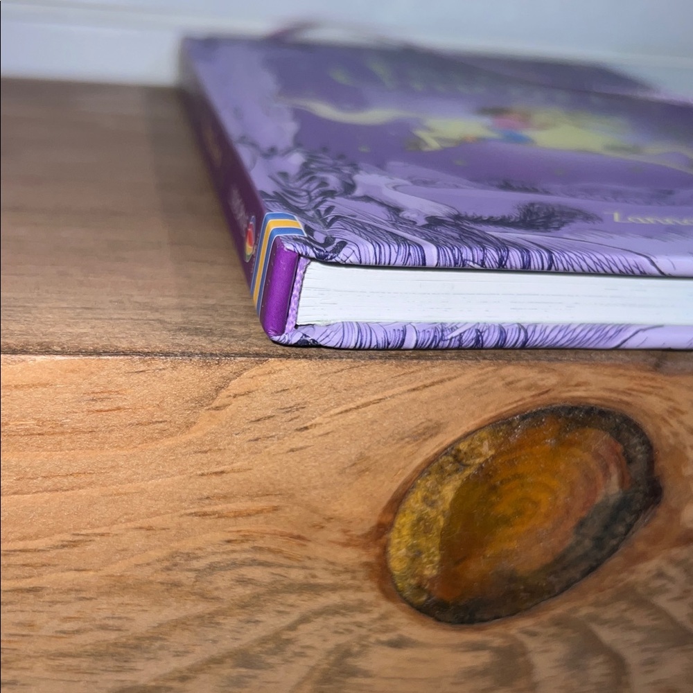 ๐๏ธ 3 for $20 ๐๏ธ - EUC - Fairy Unicorns Magic Forest Book - Picture 13 of 16